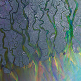 Alt-J - An Awesome Wave Vinyl LP