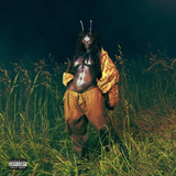SZA - SOS Deluxe: Lana (Green Vinyl) Vinyl 4LP