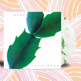 Hiroshi Yoshimura - Green (Translucent Leaves Vinyl) Vinyl LP