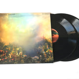 Joanna Newsom - Divers Vinyl 2LP