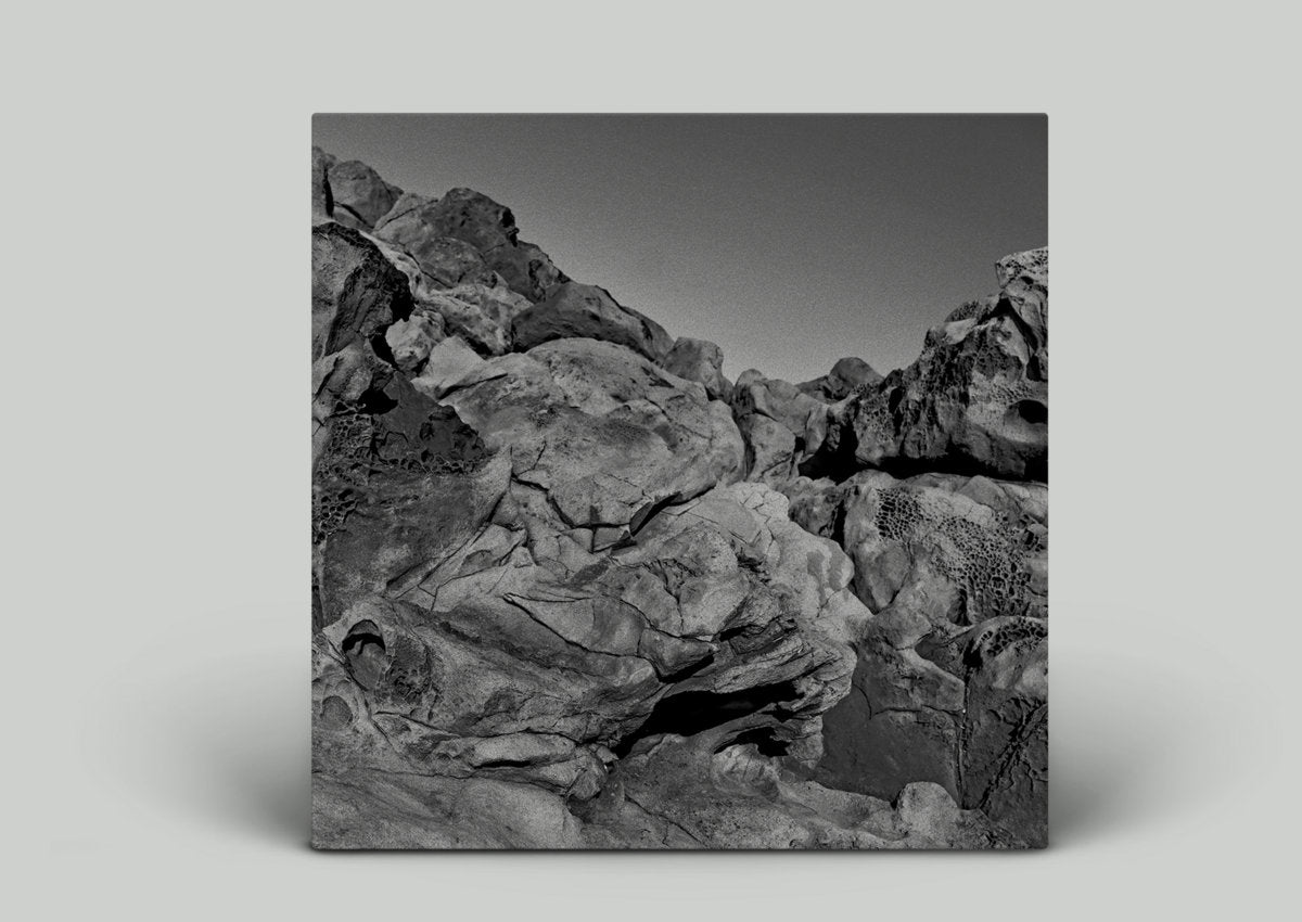 Pugilist - Found Sound Vinyl 2LP