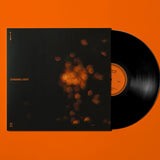Moses Yoofee Trio - Chasing Light Vinyl LP