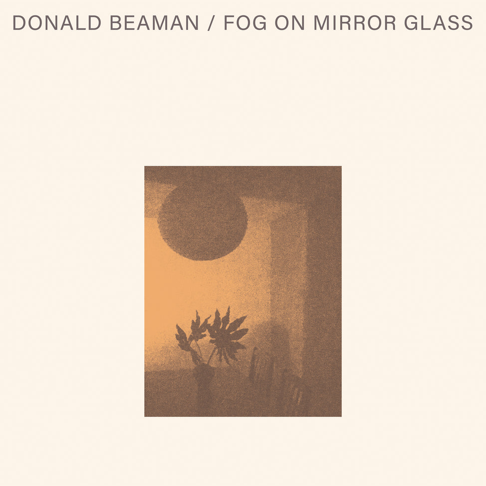 Donald Beaman - Fog On Mirror Glass Vinyl LP album cover