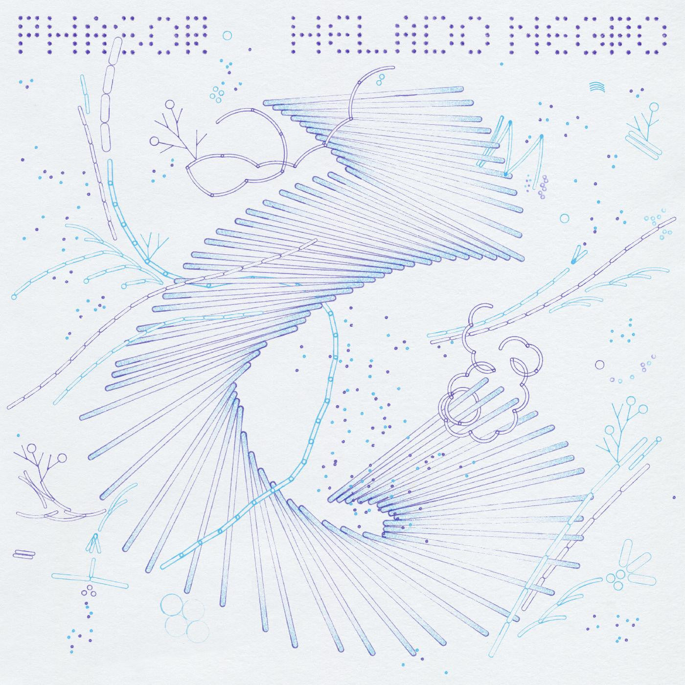 Album Cover of Helado Negro - Phasor Vinyl LP on 4AD