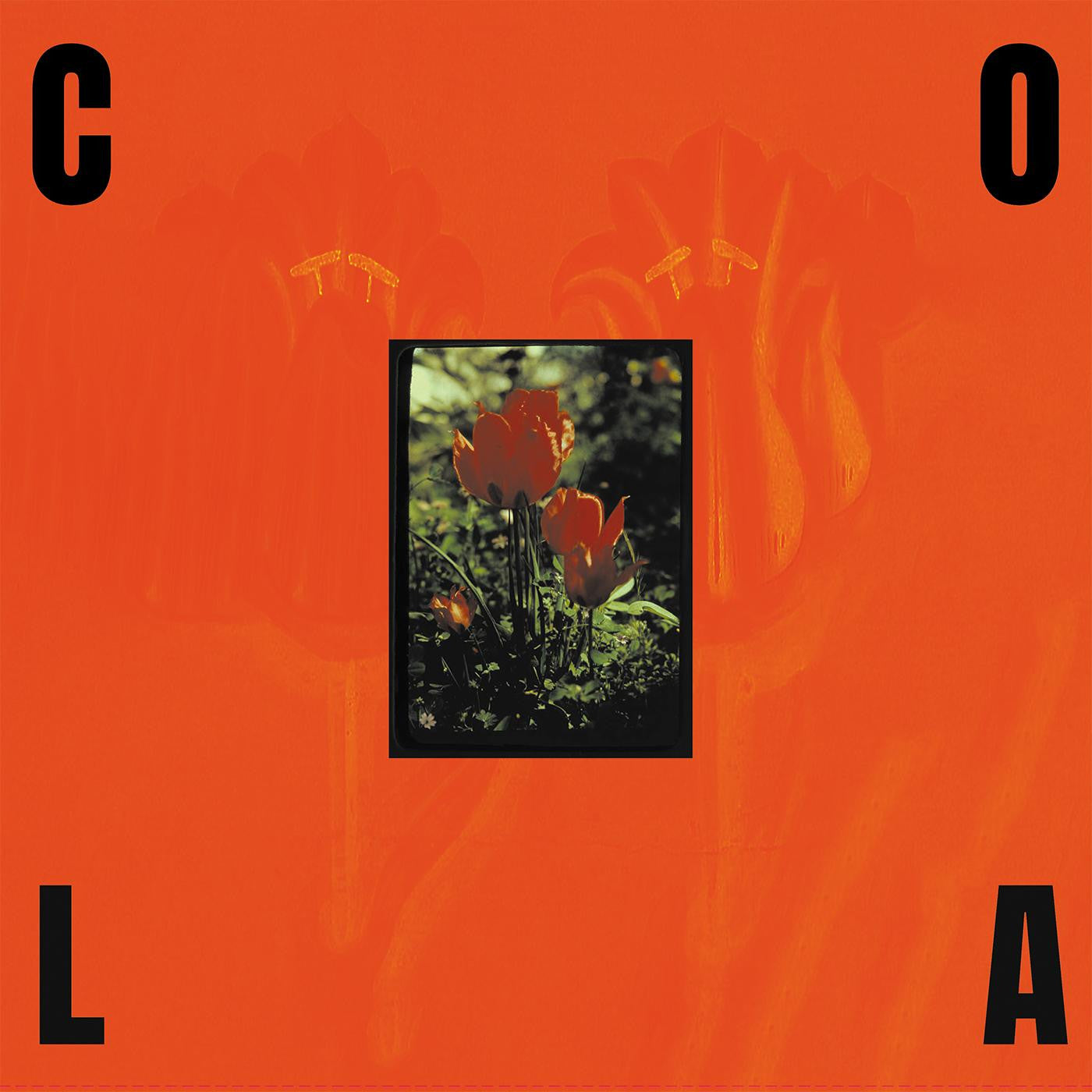 Album Cover of Cola - The Gloss Vinyl LP on Fire Talk
