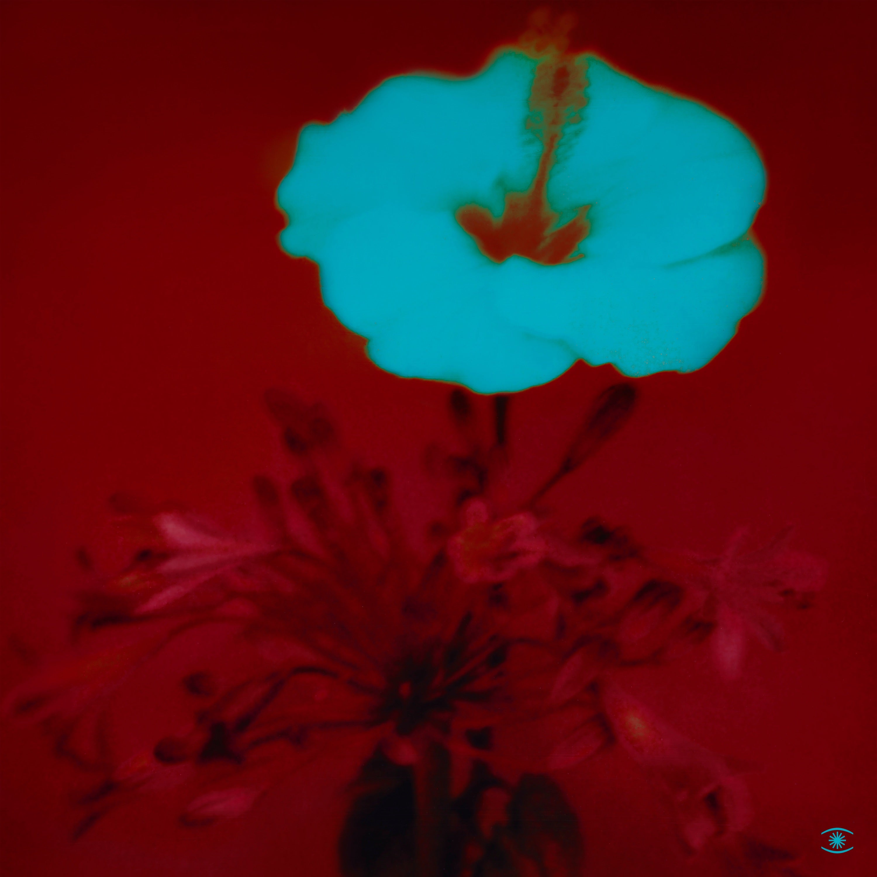 Album Cover of John Beltran - Sunrise And The Life We Live Vinyl 2LP on Music For Dreams
