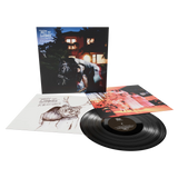 Bat for Lashes - Fur and Gold Vinyl LP