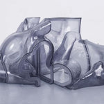 Carrier - Rhythm Immortal Vinyl 2LP album cover