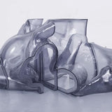 Carrier - Rhythm Immortal Vinyl 2LP album cover