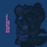 Pino Palladino, Blake Mills - That Wasn't A Dream Vinyl LP album cover