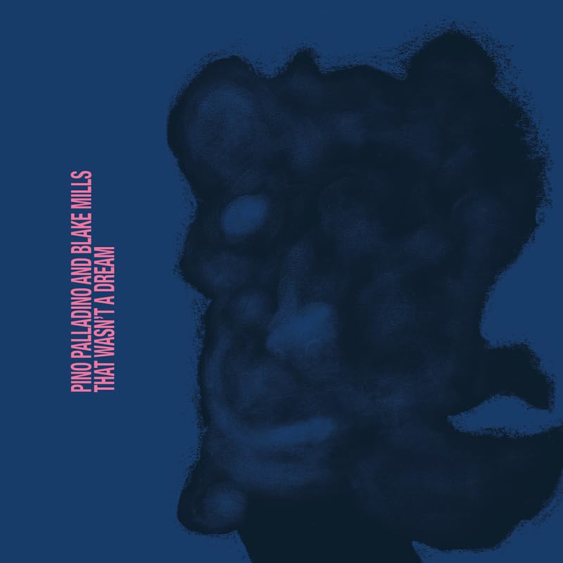 Pino Palladino, Blake Mills - That Wasn't A Dream Vinyl LP album cover