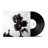 Various - Sounds of Taiwan Vinyl LP