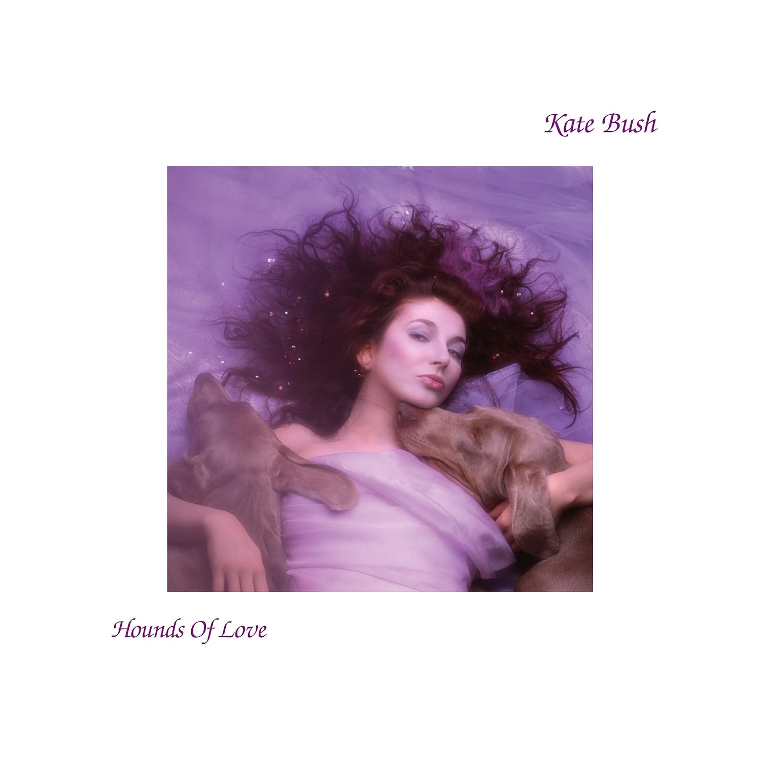 Kate Bush - Hounds Of Love Vinyl LP album cover