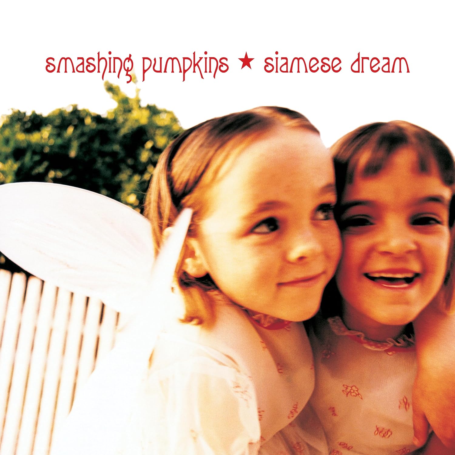 The Smashing Pumpkins - Siamese Dream Vinyl 2LP album cover