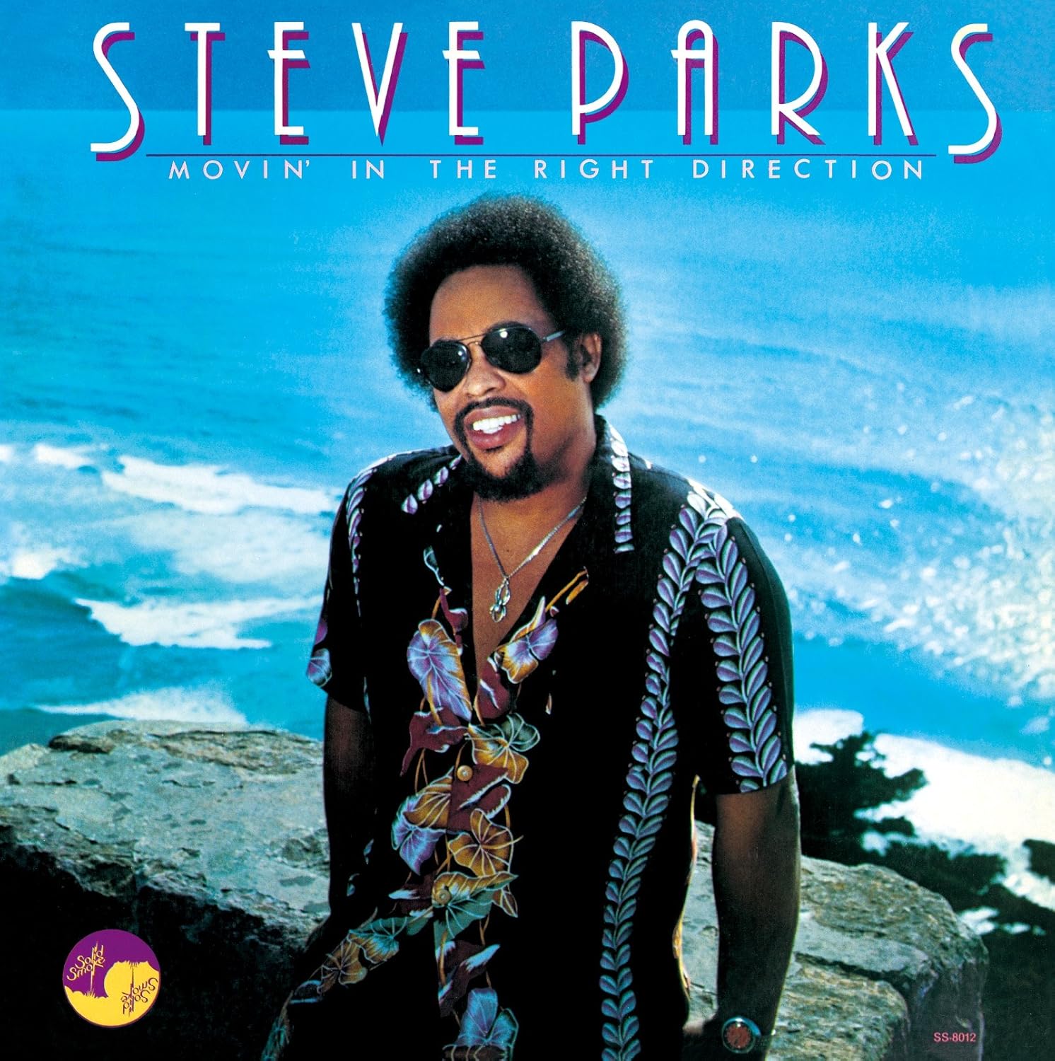 Steve Parks - Movin' In The Right Direction Vinyl LP album cover