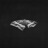 Kendrick Lamar - To Pimp A Butterfly (10th Anniversary Black Marble Vinyl) Vinyl LP