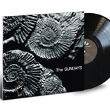 The Sundays - Reading, Writing And Arithmetic Vinyl LP