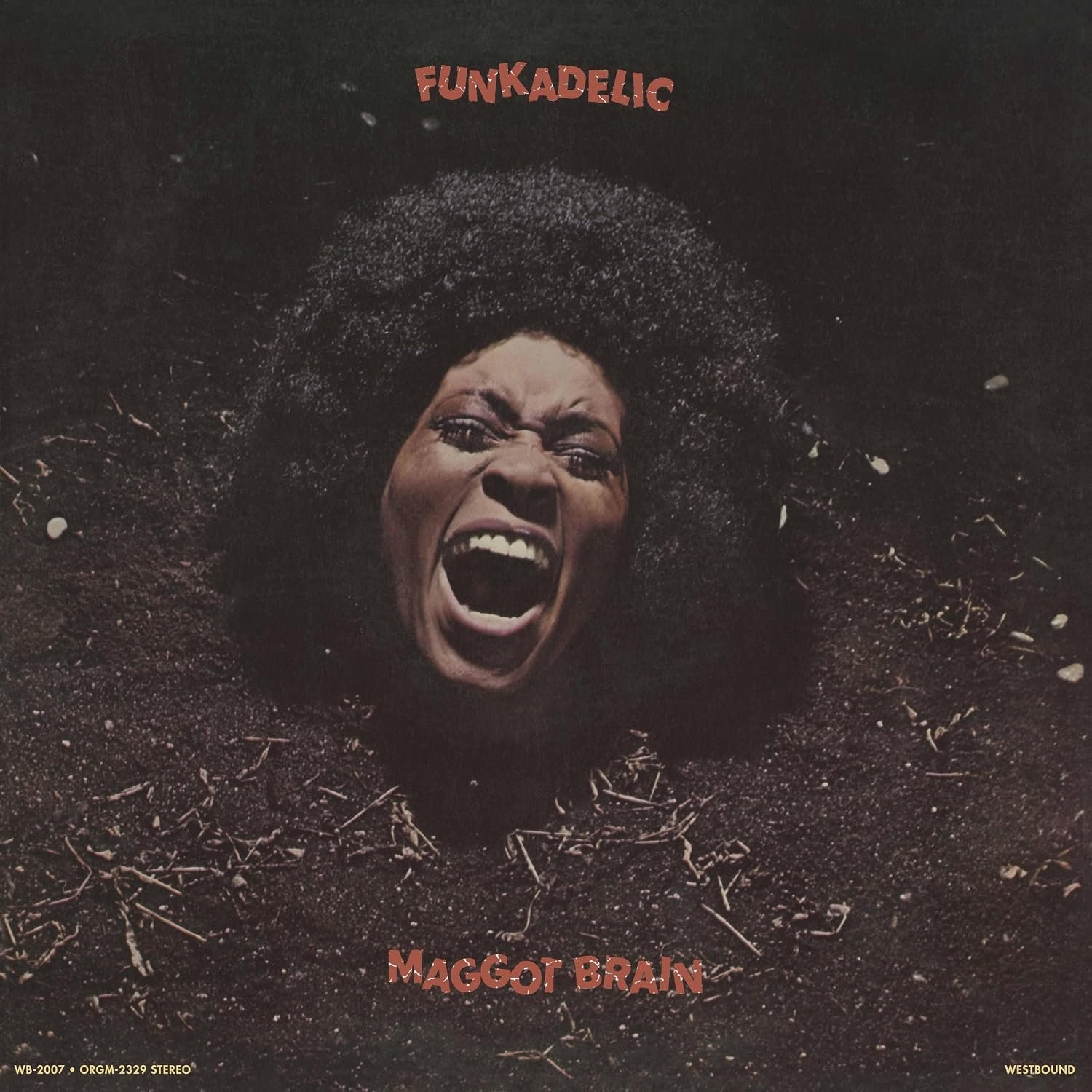 Funkadelic - Maggot Brain Cassette Tape album cover