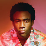 Childish Gambino - Because The Internet Vinyl 2LP album cover