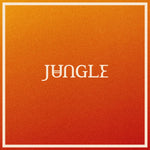Jungle - Volcano Vinyl LP album cover