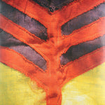 Yeah Yeah Yeahs - Show Your Bones Vinyl LP album cover