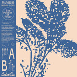 Album Cover of Masahiro Sugaya - 熱の風景 = The Pocket Of Fever Vinyl LP on Ambient Sans