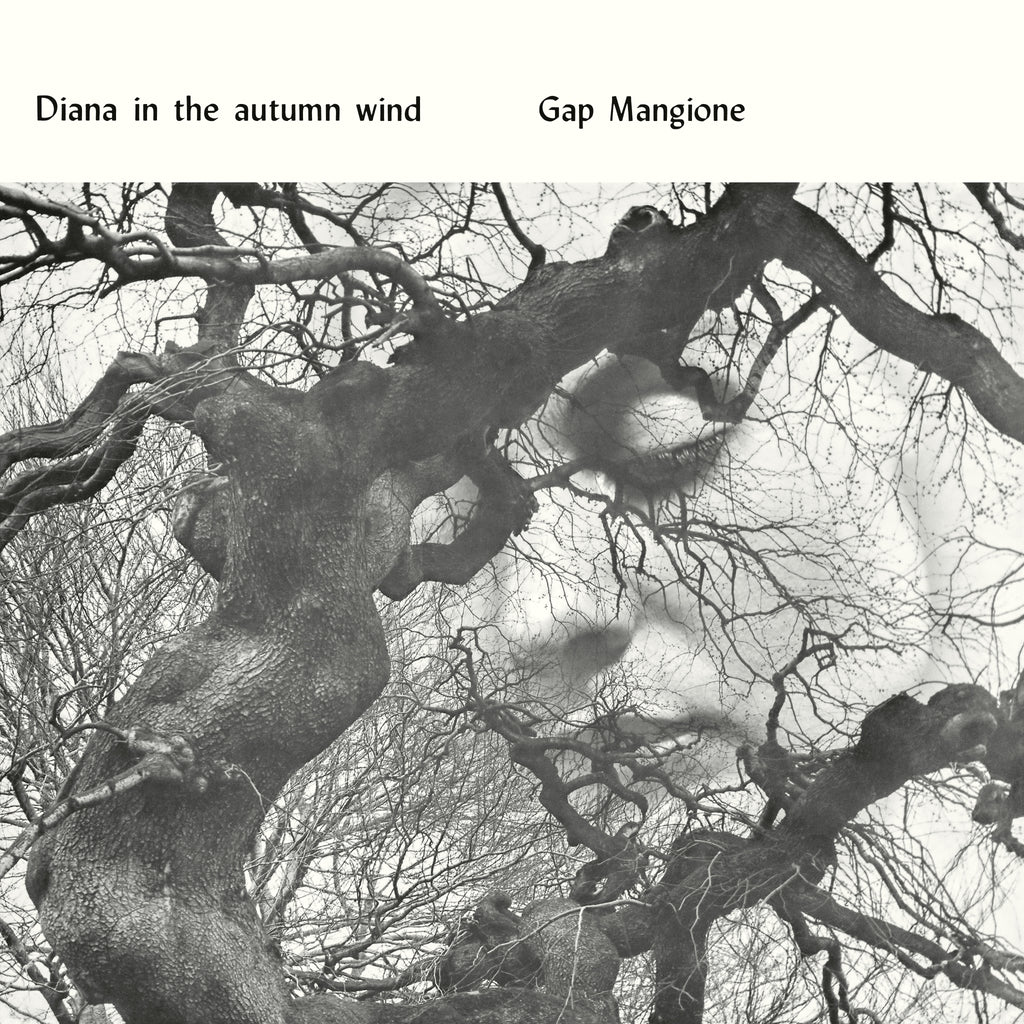 Gap Mangione - Diana In The Autumn Wind Vinyl LP album cover