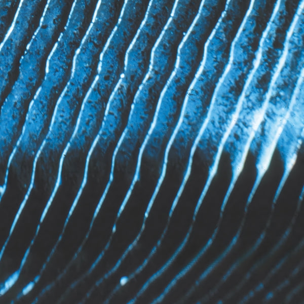 Album Cover of Monolake - Gravity Vinyl LP on Field Records