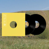 Various - Staying (Leaving Records Aid To Artists Impacted By The Los Angeles Wildfires) Vinyl 2LP