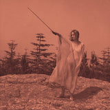 Unknown Mortal Orchestra - II (Aluminum Vinyl) Vinyl LP