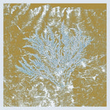 Album Cover of Huerco S. - For Those Of You Who Have Never (And Also Those Who Have) Vinyl LP on Proibito