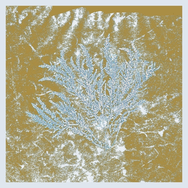 Album Cover of Huerco S. - For Those Of You Who Have Never (And Also Those Who Have) Vinyl LP on Proibito