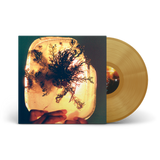L'Rain - fata morgana (Gold Vinyl) Vinyl LP (Signed Copies)