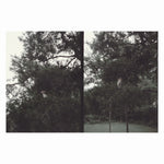 Okkyung Lee - Just Like Any Other Day (어느날): Background Music For Your Mundane Activities  Vinyl LP album cover