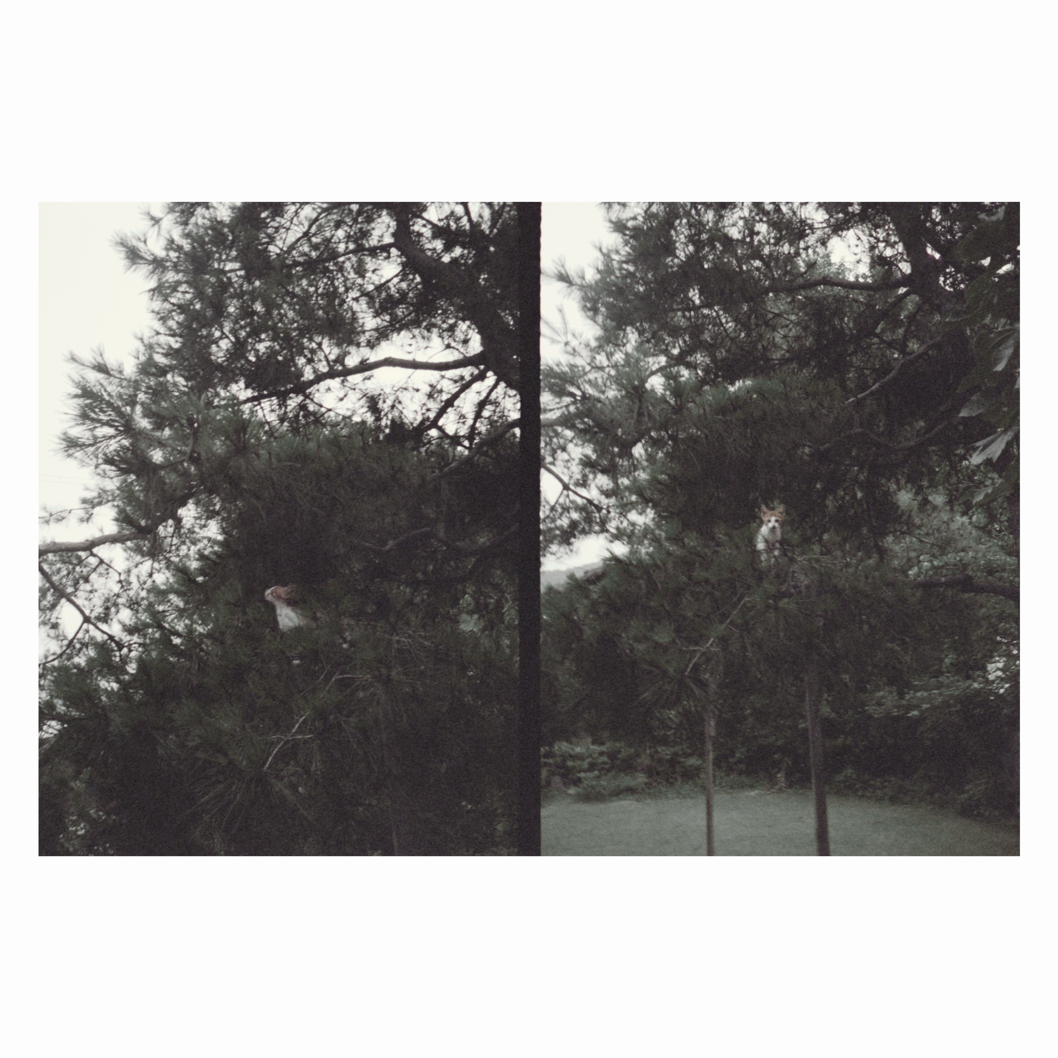 Okkyung Lee - Just Like Any Other Day (어느날): Background Music For Your Mundane Activities  Vinyl LP album cover