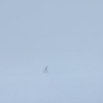 Album Cover Of Skee Mask - Compro on Ilian Tape