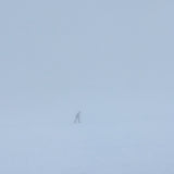 Album Cover Of Skee Mask - Compro on Ilian Tape