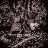Kamasi Washington - Harmony Of Difference Vinyl LP