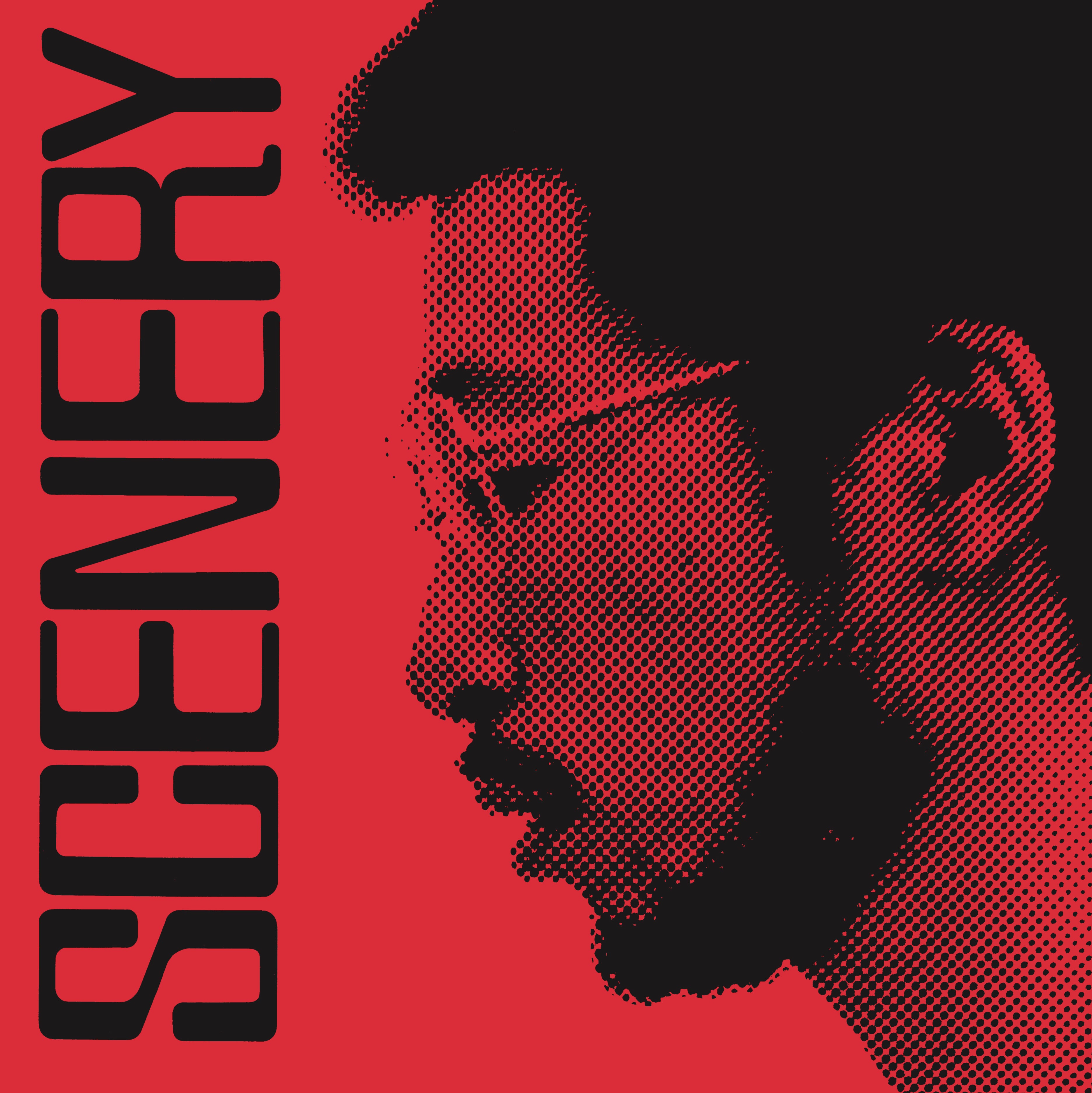 Ryo Fukui - Scenery Vinyl LP album cover