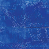 Water From Your Eyes - It's A Beautiful Place Vinyl LP album cover