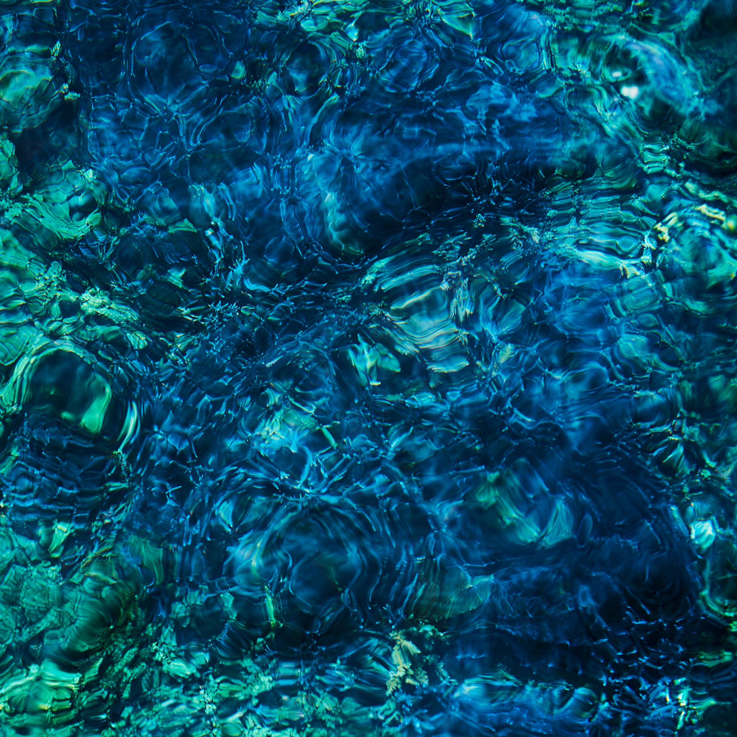 Aoba Ichiko - Luminescent Creatures Vinyl LP album cover