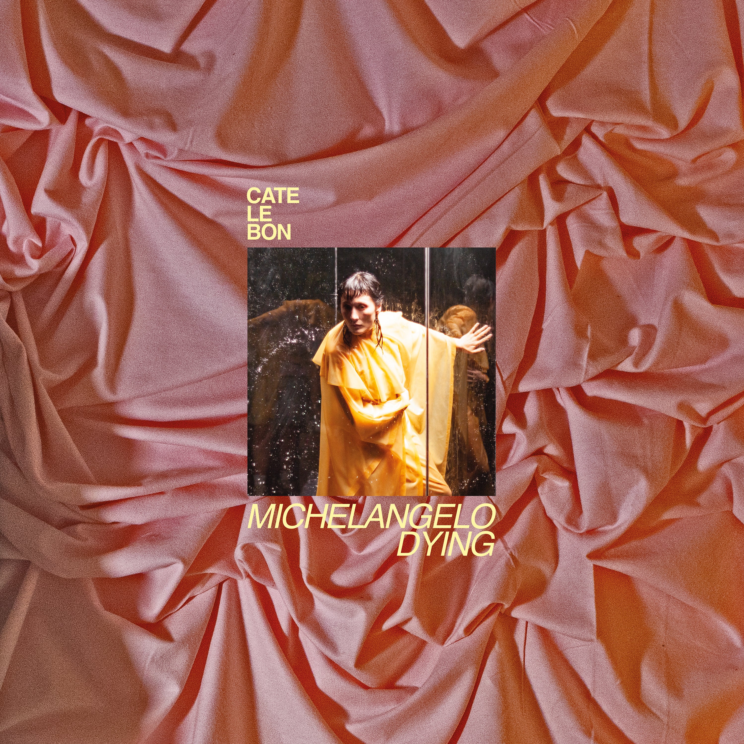 Cate Le Bon - Michelangelo Dying (Indie Exclusive Bone White Vinyl) Vinyl LP -   album cover