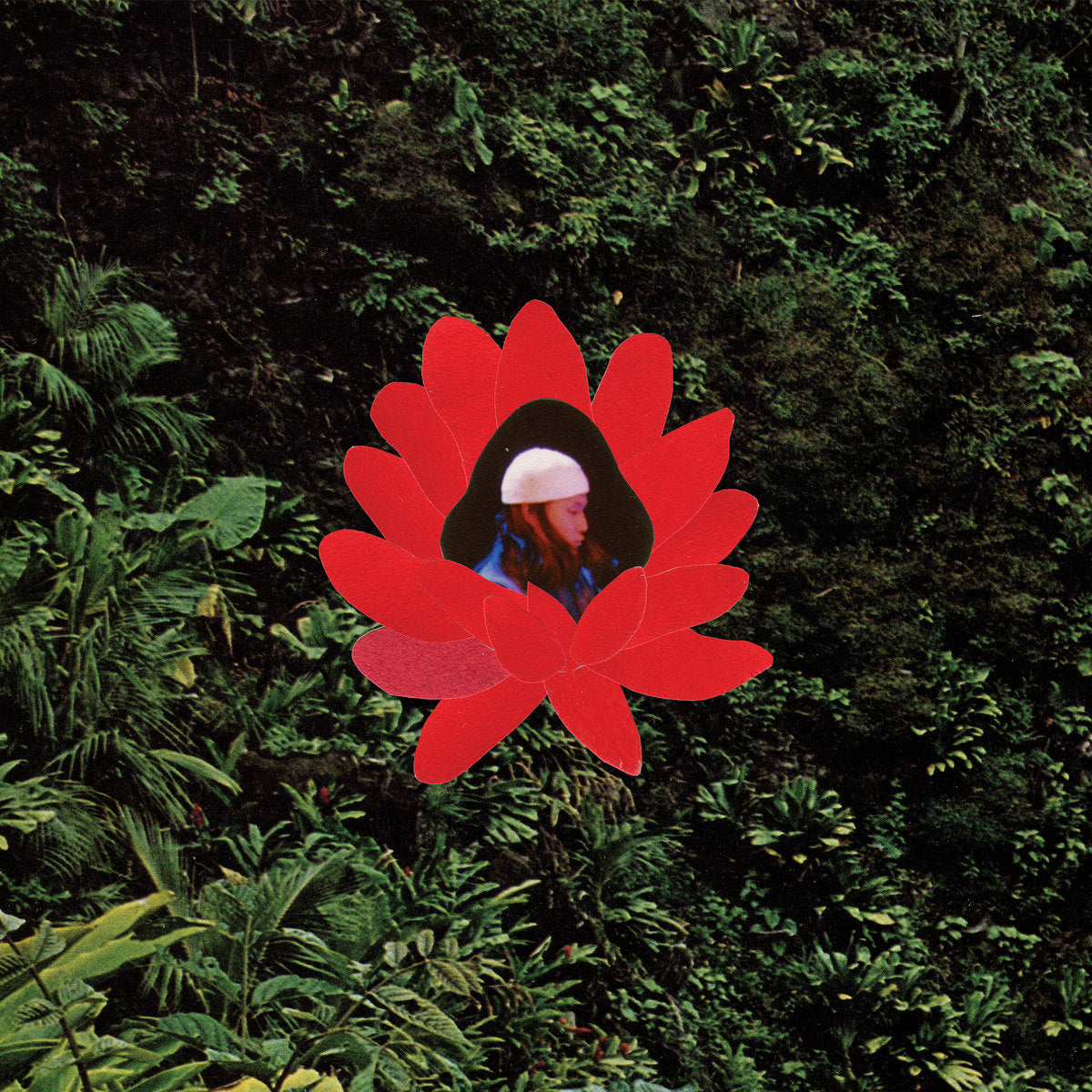 Album Cover of Lionmilk - When The Flowers Bloom Vinyl LP on Stones Throw Records