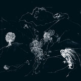 Anenon - Dream Temperature (Clear Vinyl) Vinyl LP album cover