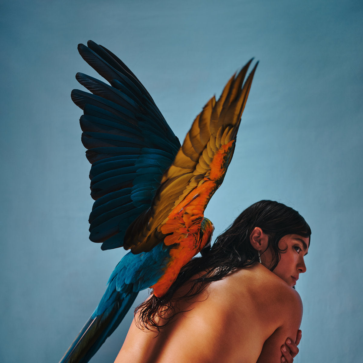 Reyna Tropical - Malegría Vinyl LP album cover