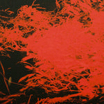 Anthony Naples - In Studio Magic Vinyl LP album cover