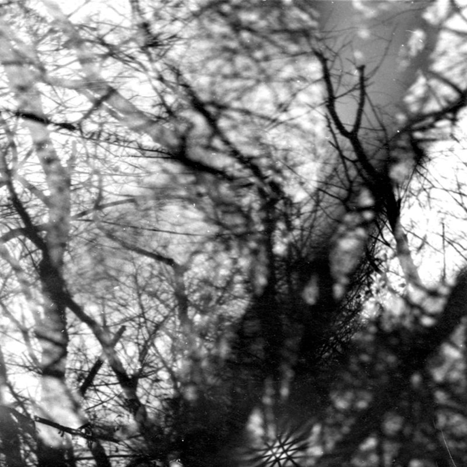 Grouper - Way Their Crept Vinyl LP album cover