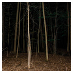 Express Rising - Fixed Rope Vinyl II LP album cover