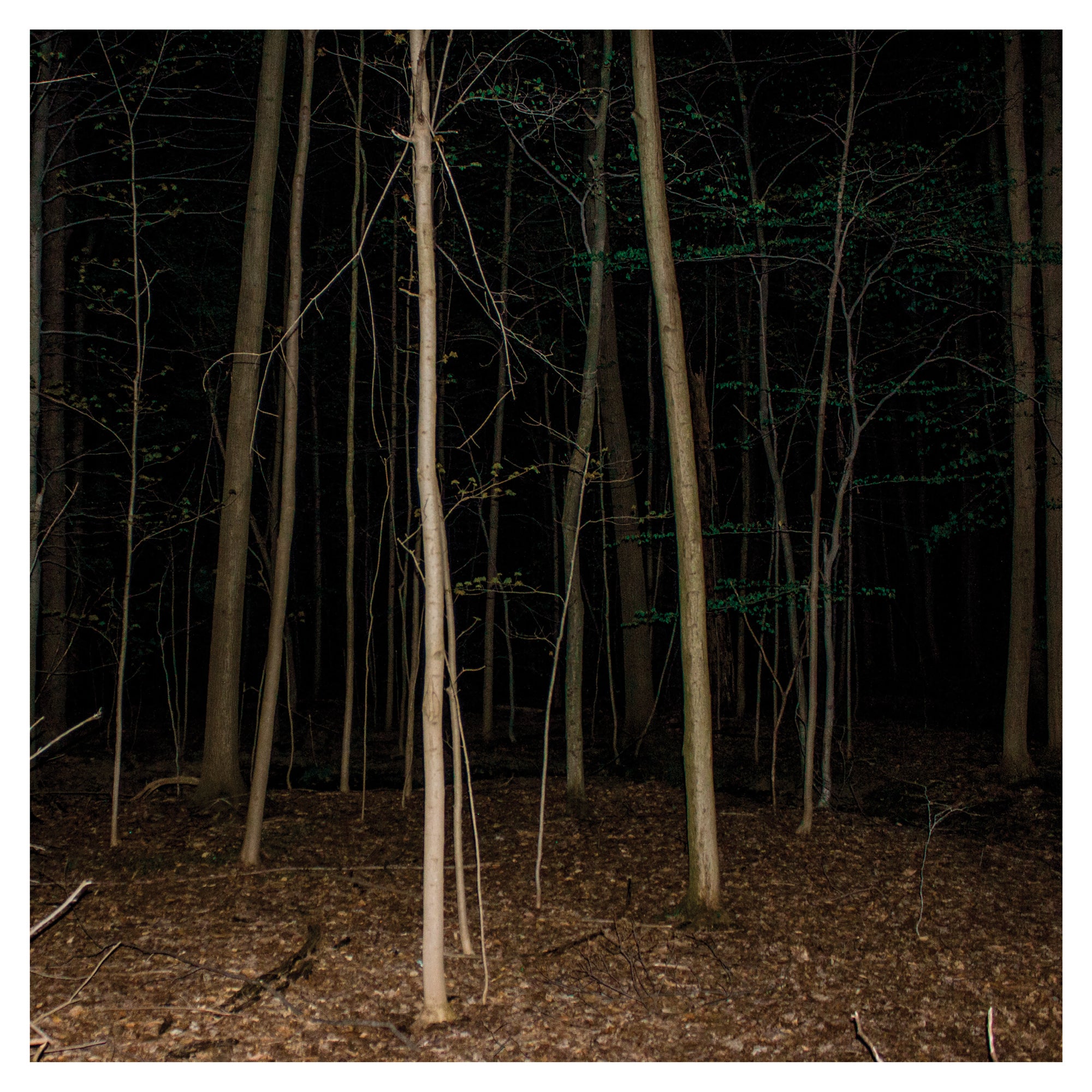 Express Rising - Fixed Rope Vinyl II LP album cover