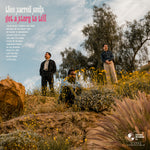 Thee Sacred Souls - Got A Story To Tell Vinyl LP album cover